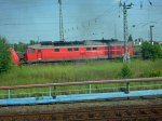Halle-232-330.jpg