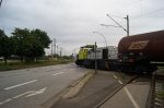 DSC08186.jpg