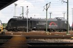 DSC08220.jpg