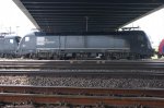 DSC08192.jpg