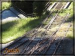 comp_IMG_1665.jpg