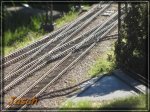 comp_IMG_1663.jpg