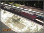 comp_IMG_1619.jpg