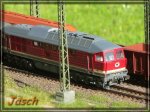 comp_IMG_1611.jpg