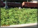 comp_IMG_1630.jpg
