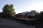 BR231 012-6 in Trotha mit Containern 800 600.jpg