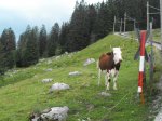 Tag 5 Bild 34.jpg