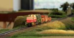 IMG_5193kl.jpg