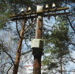 Abbild kleinP1030653 b.jpg