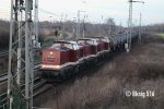 202 484-2.jpg