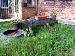 DSC00037.JPG