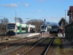 Gottenheim04.jpg