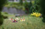 DSC03935.JPG