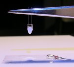 48399-Bild01_SMD-LED-0603, Nachbildung weißer HQ-Lampe mit Latex.jpg