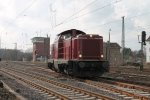 IMG_7384 k.jpg