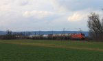 IMG_7432 k.jpg