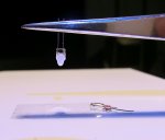 000000_Bild-02 SMD-LED-0603, Nachbildung weißer HQ-Lampe mit Latex.jpg