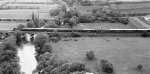 242 + P Rudelsburg 24.05.81 2.jpg
