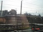DSC08525.jpg