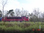DSC08530.jpg