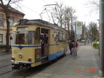 DSC08538.jpg
