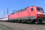 CIMG0042 (2) (800x533).jpg