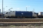 DSC_0154k.jpg