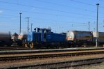 DSC_0147k.jpg