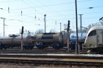 DSC_0157k.jpg