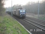 meine Bilder 030.jpg