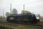 IMGP7867.jpg