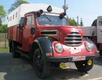 IMG_3017.jpg