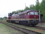 DSC08928.jpg