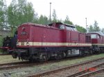 DSC08930.jpg