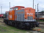 DSC08943.jpg