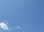 DSCF7928.jpg