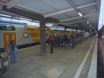 ODEG-Kiss-Lichtenberg-10-05.jpg