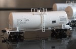 P7117741.ORF.jpg