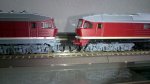 DSC_0217.JPG
