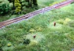 comp_IMG_0615.jpg