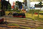 H0 comp_IMG_0774.jpg