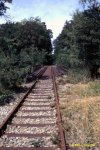 7650132.jpg