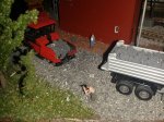 20150317_071155.jpg