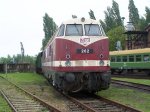 100_5297.jpg