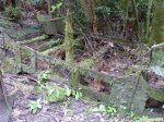 2015_01_Neuseeland_39_mod.jpg