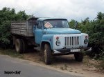 bulg3.jpg