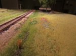 IMG_2866.JPG