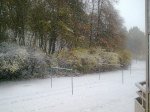 Berg016.jpg