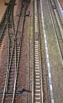 IMG_3002.JPG