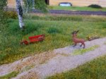!DSC05116.jpg